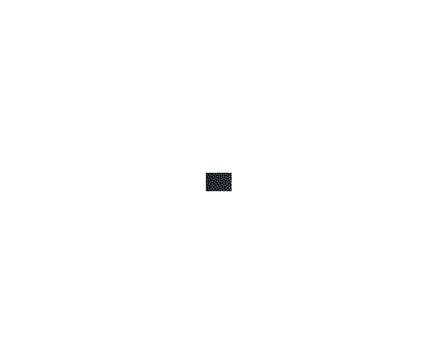 Action 2 Butt 4 Shaft Soft Case - Image 5